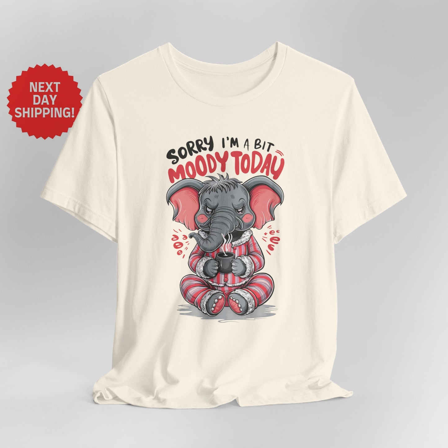 Sorry I am Moody Elephant Sitting T-Shirt