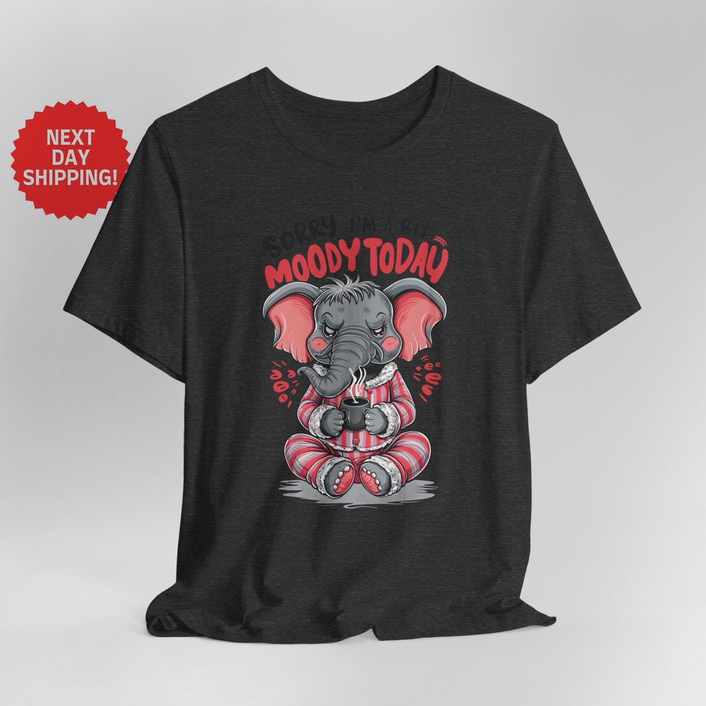 Sorry I am Moody Elephant Sitting T-Shirt